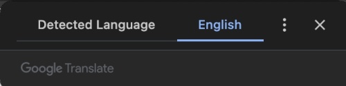 select preferred language screenshot for Google Translate